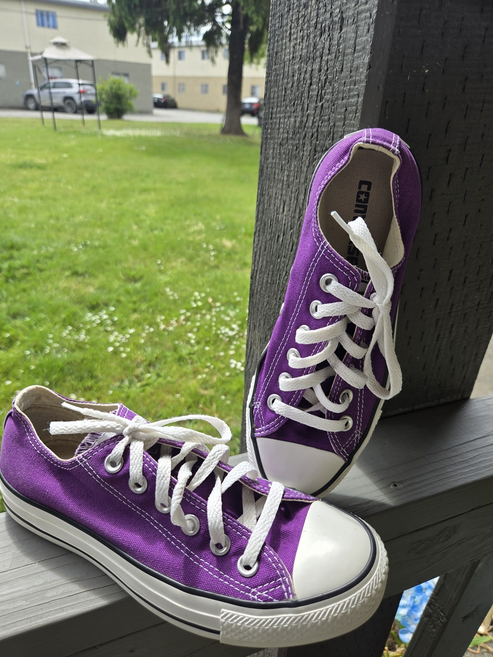 Purple Canvas Low-Top Sneakers with White Laces